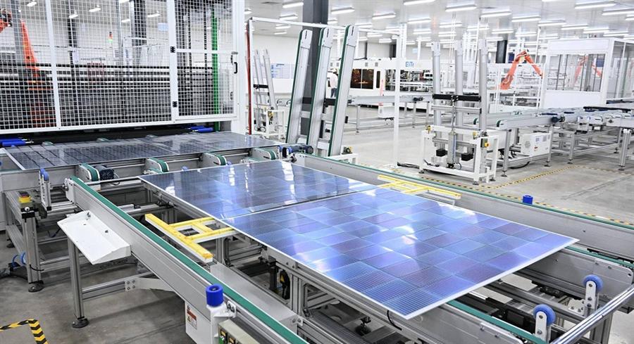 الحكومة تستعرض تجربة Elite Solar بالسخنة في توطين صناعة الطاقة الشمسية